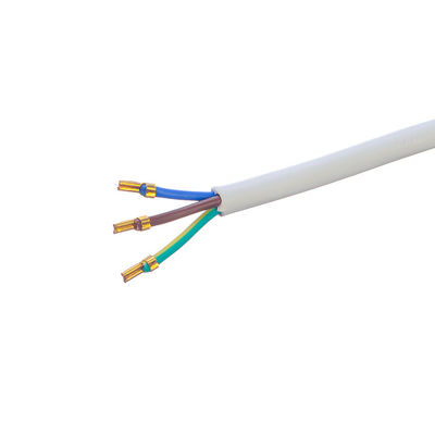 사용자 정의 브라질 10A/250V 3 핀 플러그 3x0.75MM2 PS4 소금 램프 전원 케이블 DIN VDE 0620/EN 50075 1990에 의해 인증